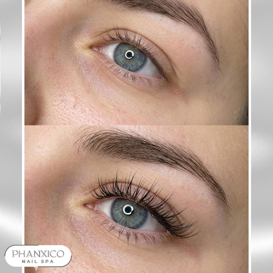 Eyelashes - eyebrows 